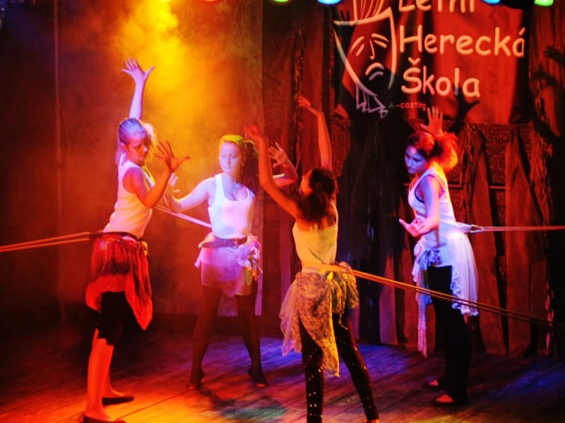 Letní herecká škola - divadelní tábor 2026 - 34. ročník - fotka 2