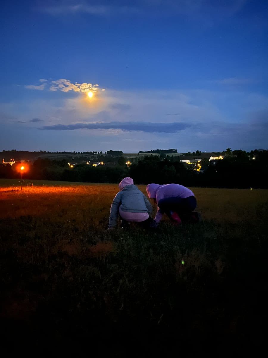 Detektivové na stopě záhady - zaměření na osobnostně sociální rozvoj - fotka 6
