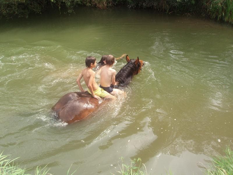 Letní tábor u koní 2026 - fotka 6