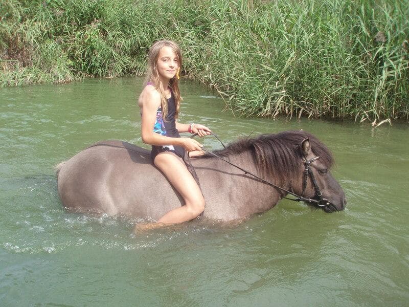 Letní tábor u koní 2026 - fotka 4