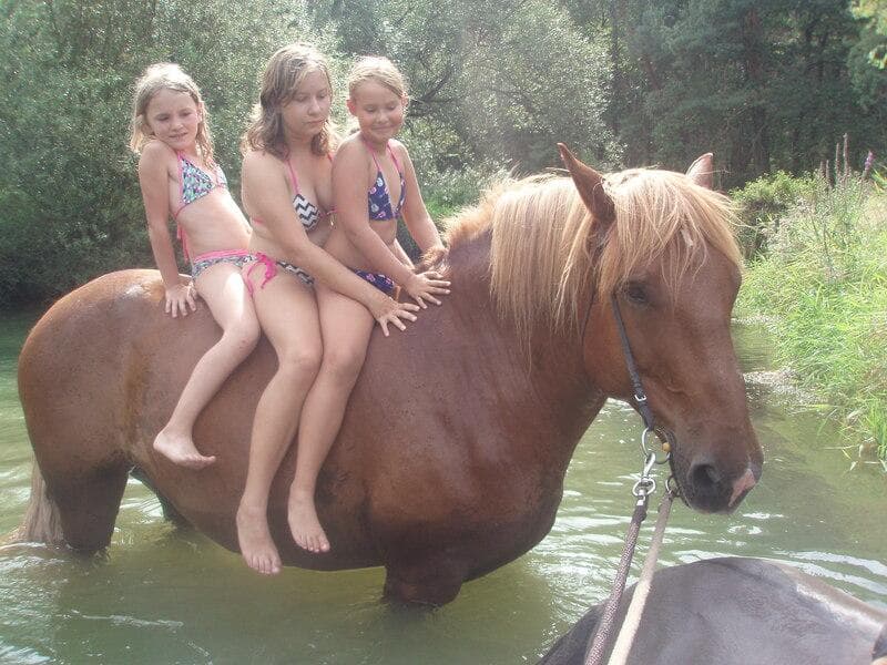 Letní tábor u koní 2026 - fotka 3