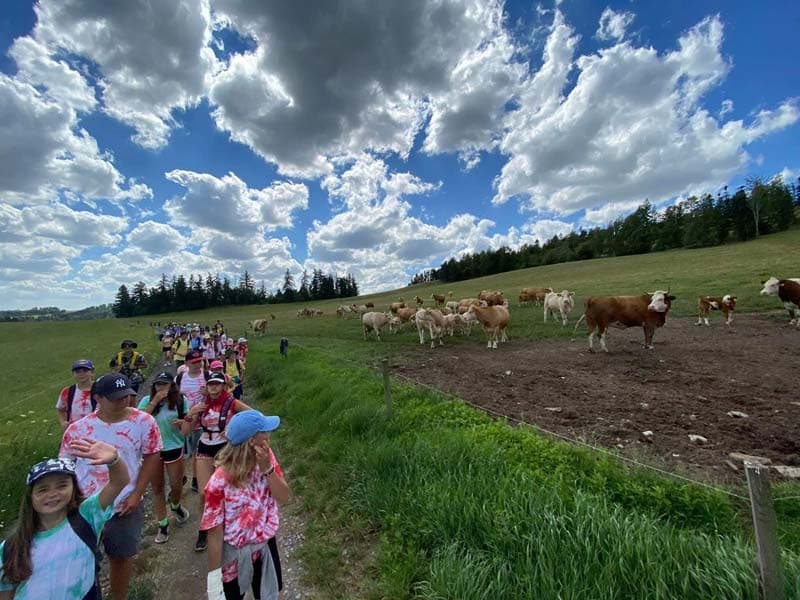 Letní CAMP - Kung Fu Panda - fotka 3