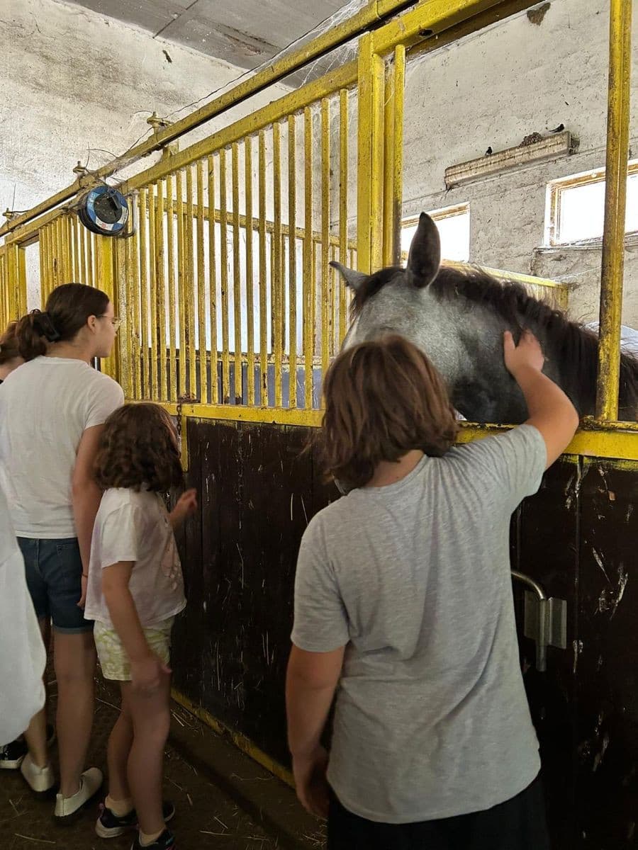 Dobrodružný tábor na statku v Benicích s angličtinou 8-14 let - fotka 5