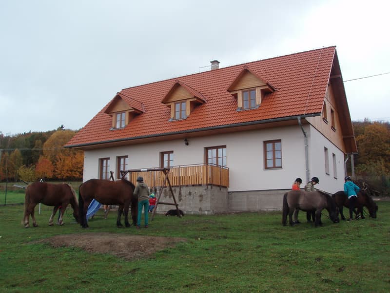 Letní tábor u koní 2026