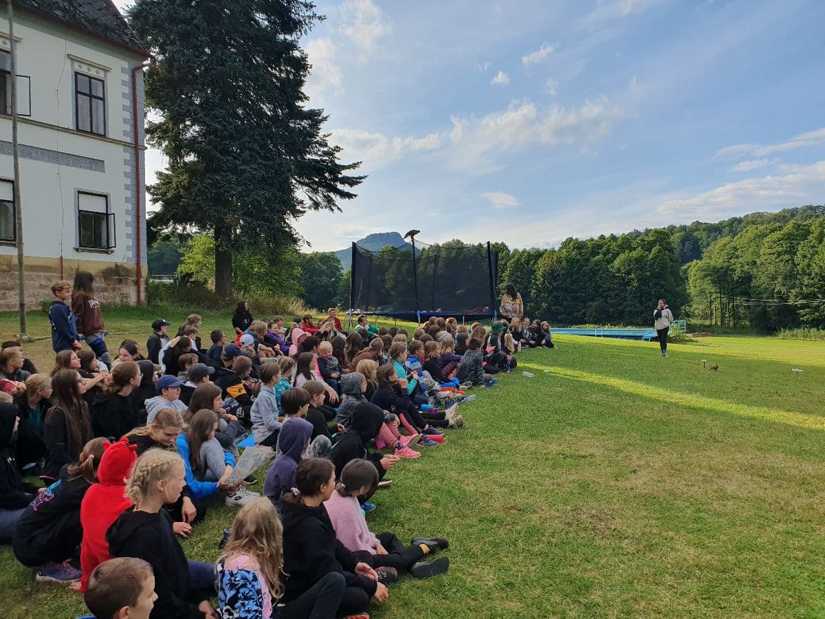 Tábory s Pavlem Lelkem - HARRY POTTER